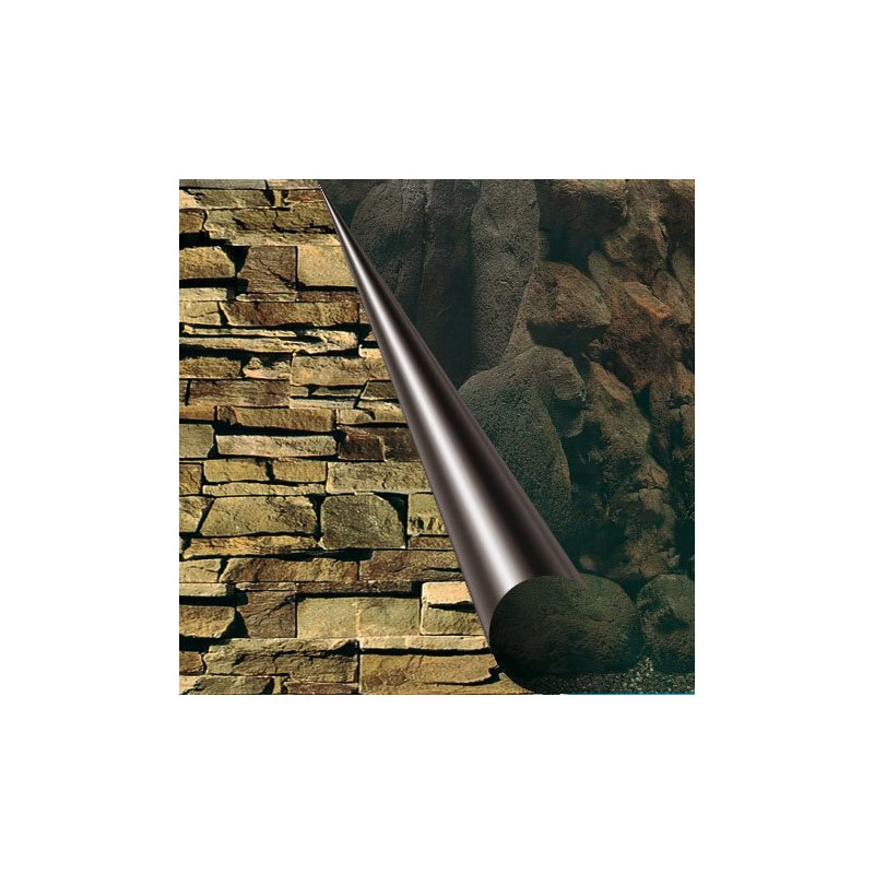 EBI Aquarium background BEAUTY + SEA