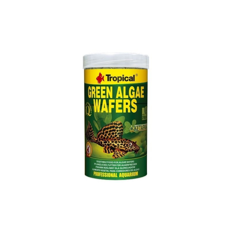 Obleas de algas verdes tropicales