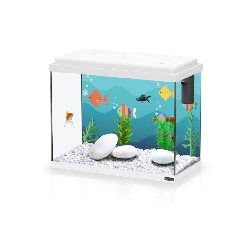 Aquatlantis Kit 50