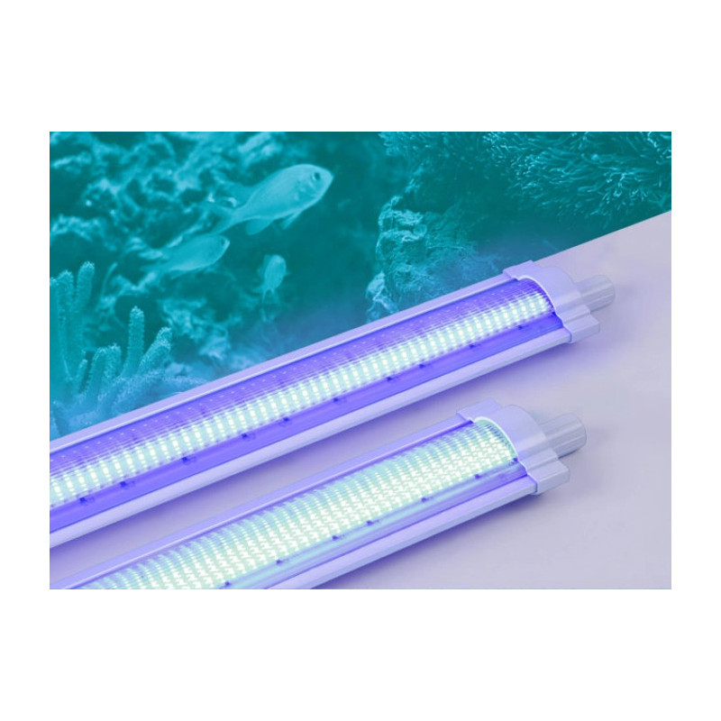 Aquário 300L 120*50*50 + LED Aqualighter 1 120
