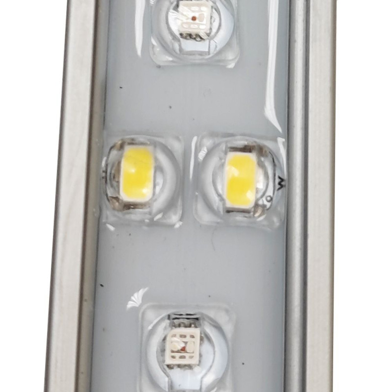 Pico Lumina 11 RGB+W Freshwater - BLAU