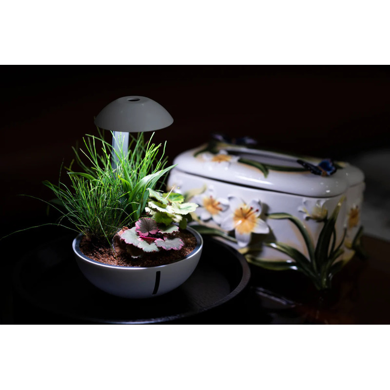 Chihiros Tiny Terrarium Egg