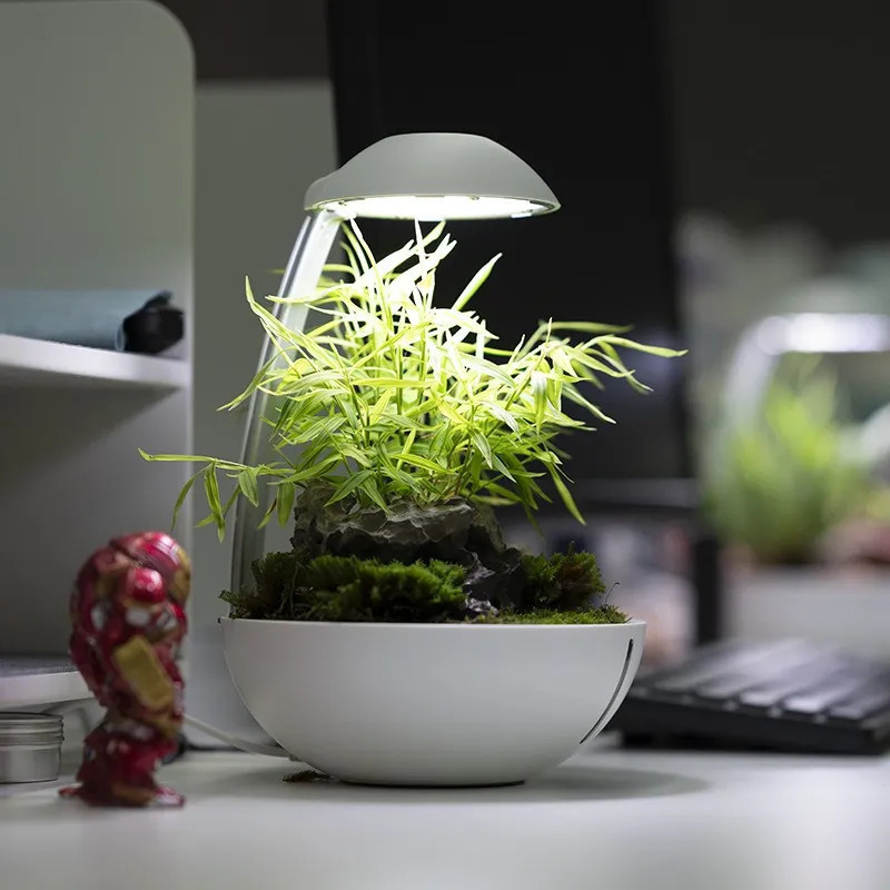 Chihiros Tiny Terrarium Egg