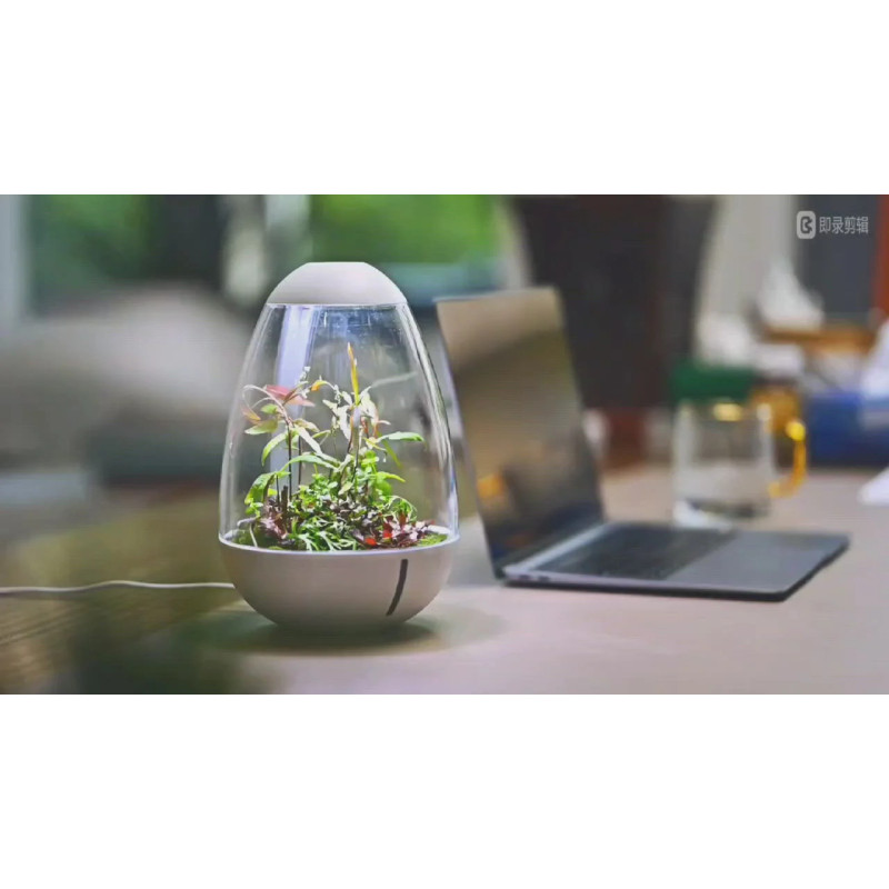 Chihiros Tiny Terrarium Egg