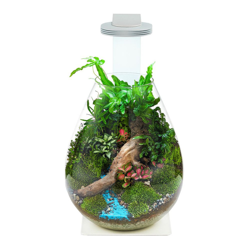 Chihiros Terrarium Kit - Glass Air, Magnetic Light, Base