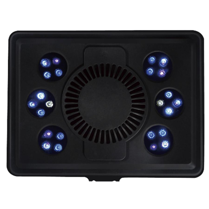 Jump LED MJ-L165 Blue - Maxspect