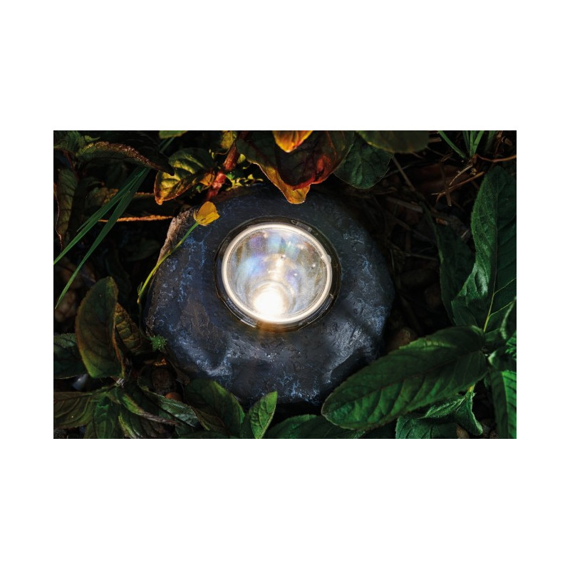 PondoStar Set 30 - Pontec