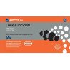 Gamma Cockle in Shell Flat pack 250g