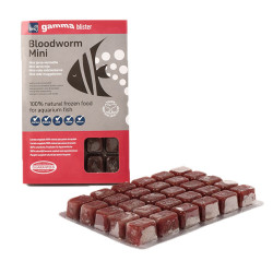 Gamma - Mini Bloodworm - Blister Pack Gamma - Mini Bloodworm - Blister Pack