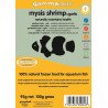 Gamma - Mysis Shrimp + Garlic - Blister Pack