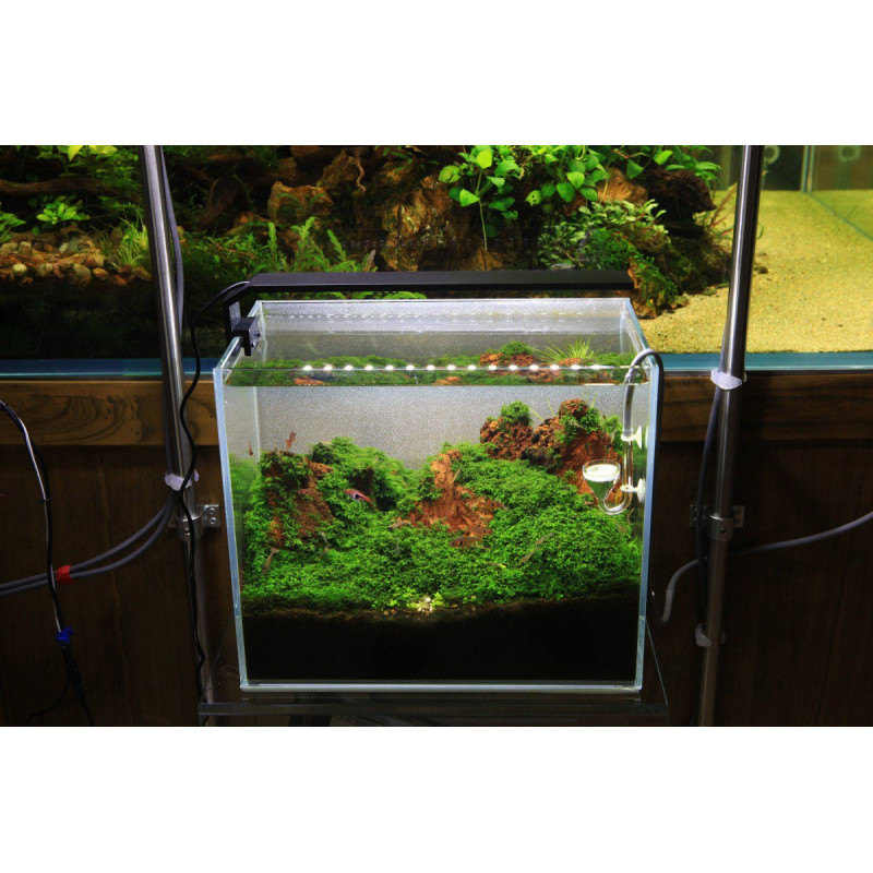 Chihiros C201 LED Light with Dimmer