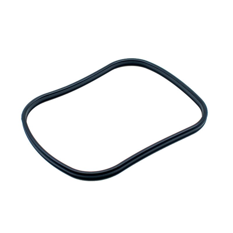 Main gasket for BioMaster 250/350/600/850 and Thermo