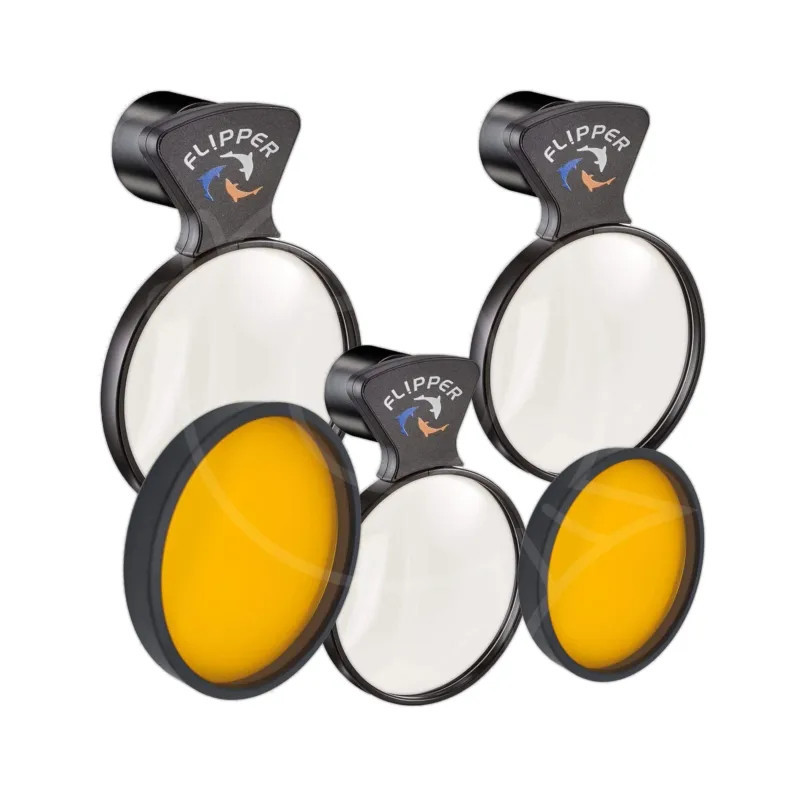DeepSee Lente magnificadora Magnified Viewer