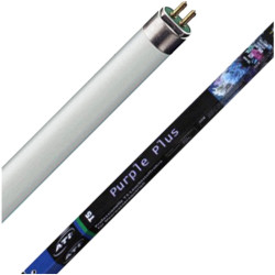ATI - Purple Plus T5 ATI - Purple Plus T5
