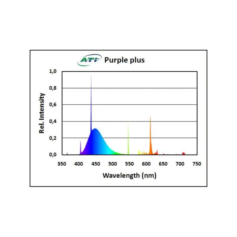 ATI - Purple Plus T5