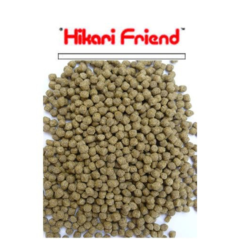 Hikari Friend Medium - HIKARI