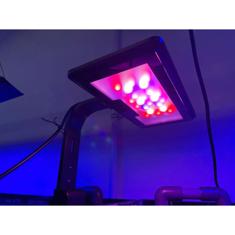 Jump LED MJ-L130 Refugium - Maxspect