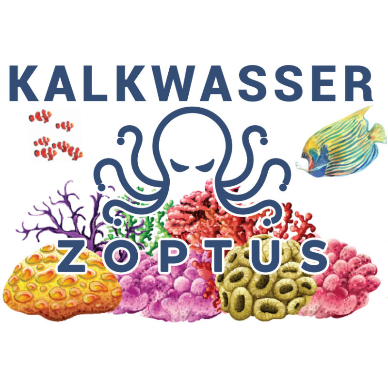 Kalkwasser 500gr - Zoptus