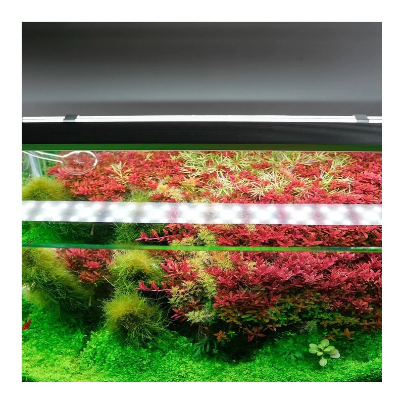 LED Chihiros Series B 20 - 120cm