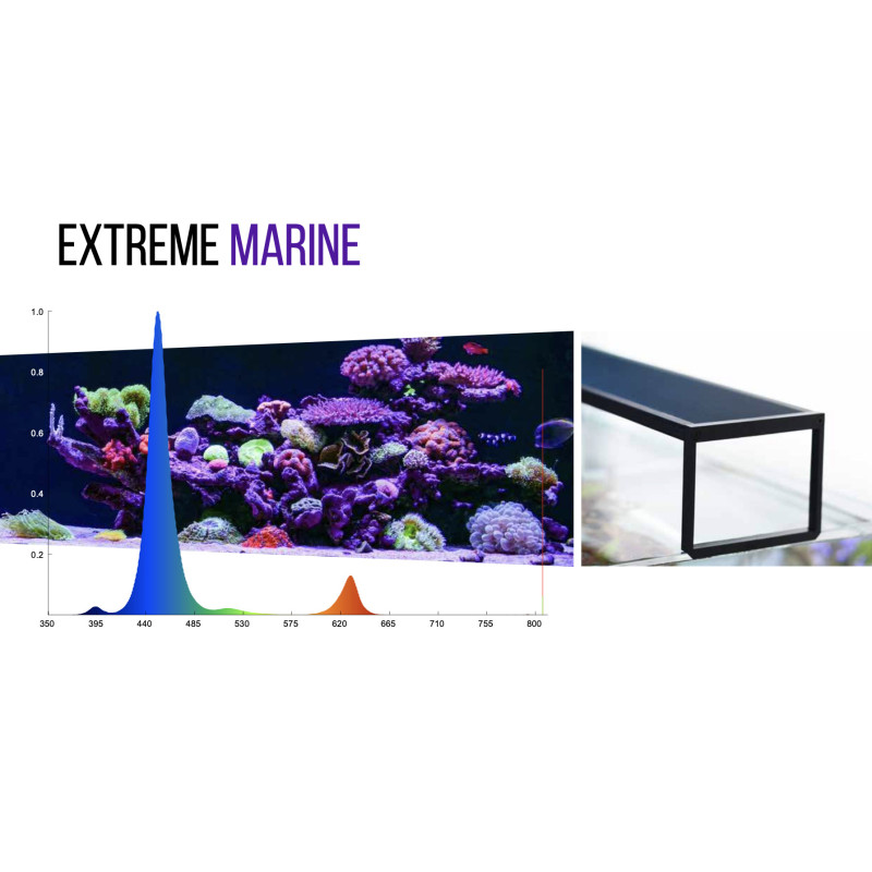 NemoLight Extreme Series II Marine