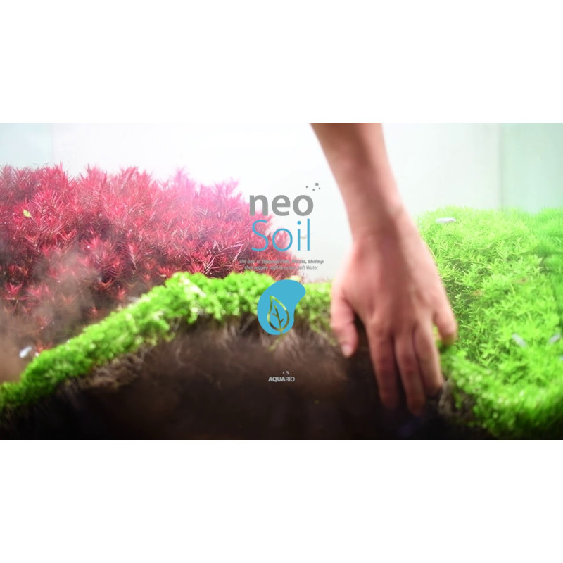NEO Soil Plants