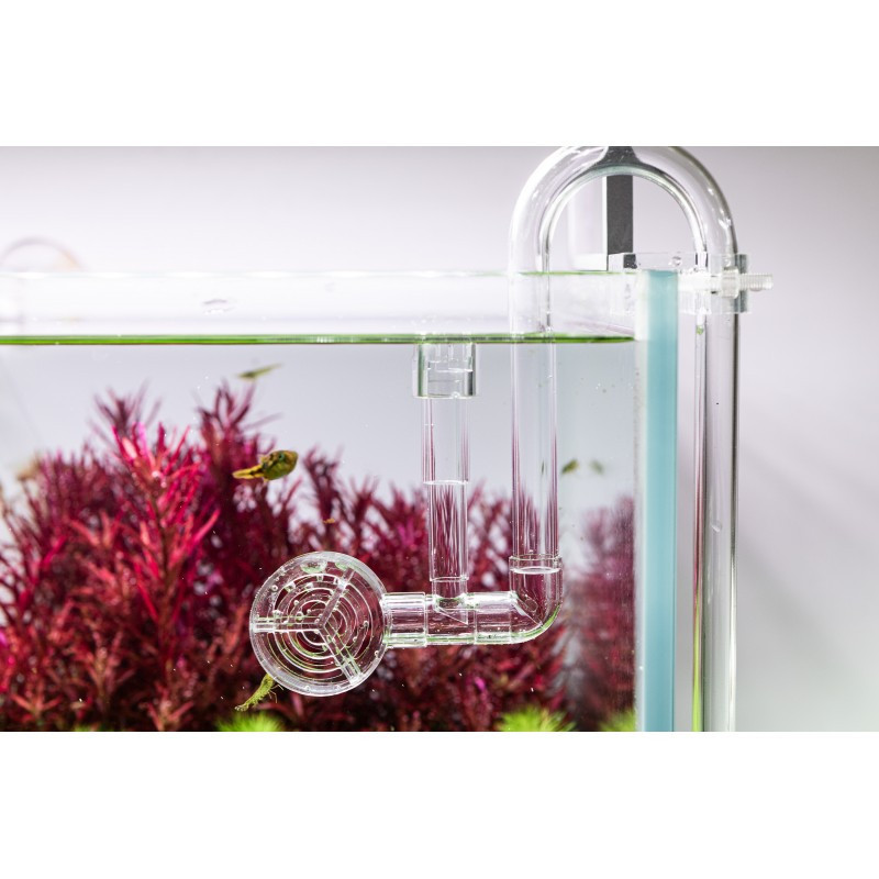 Aquarium Filter Lily Pipes: Aquario Neo Skimmer