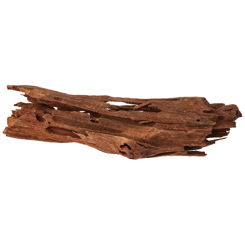 Raiz Mangrove 25-30cm - Zolux