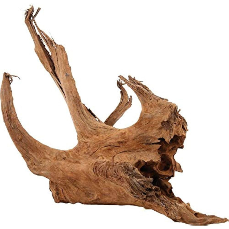 Raíz de Mangrove 40-60cm - Zolux