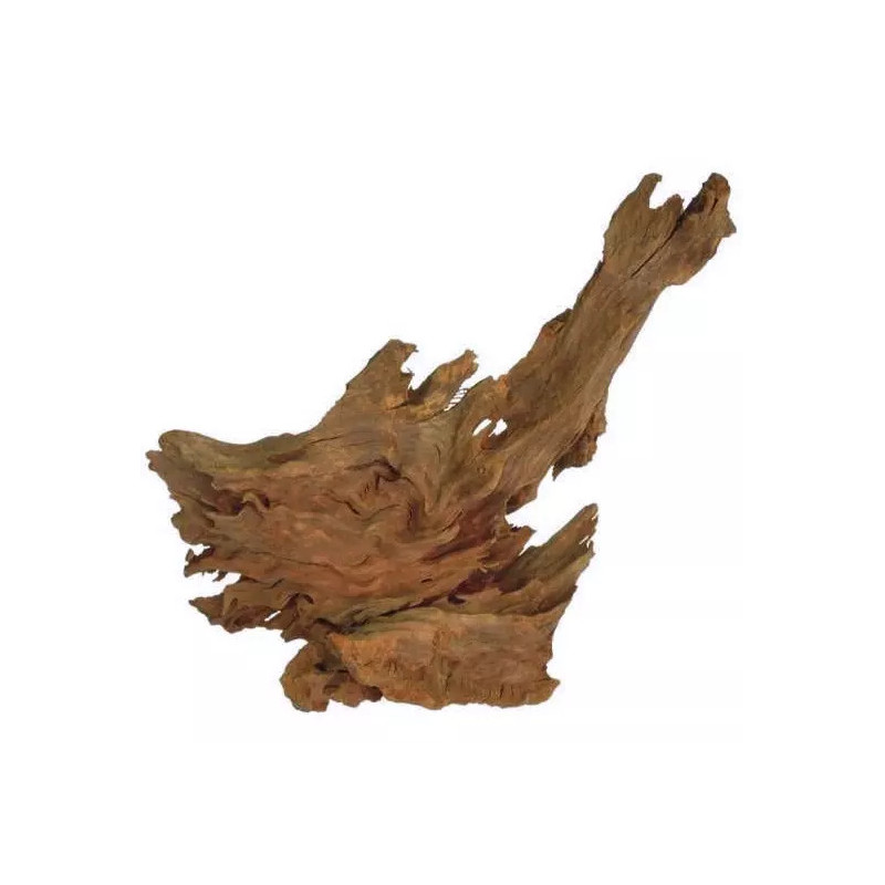 Mangrove 40-60cm - Zolux