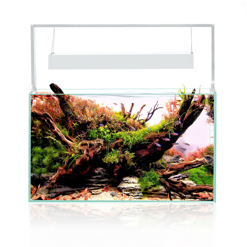 Aquael UltraScape 60 Snow Set