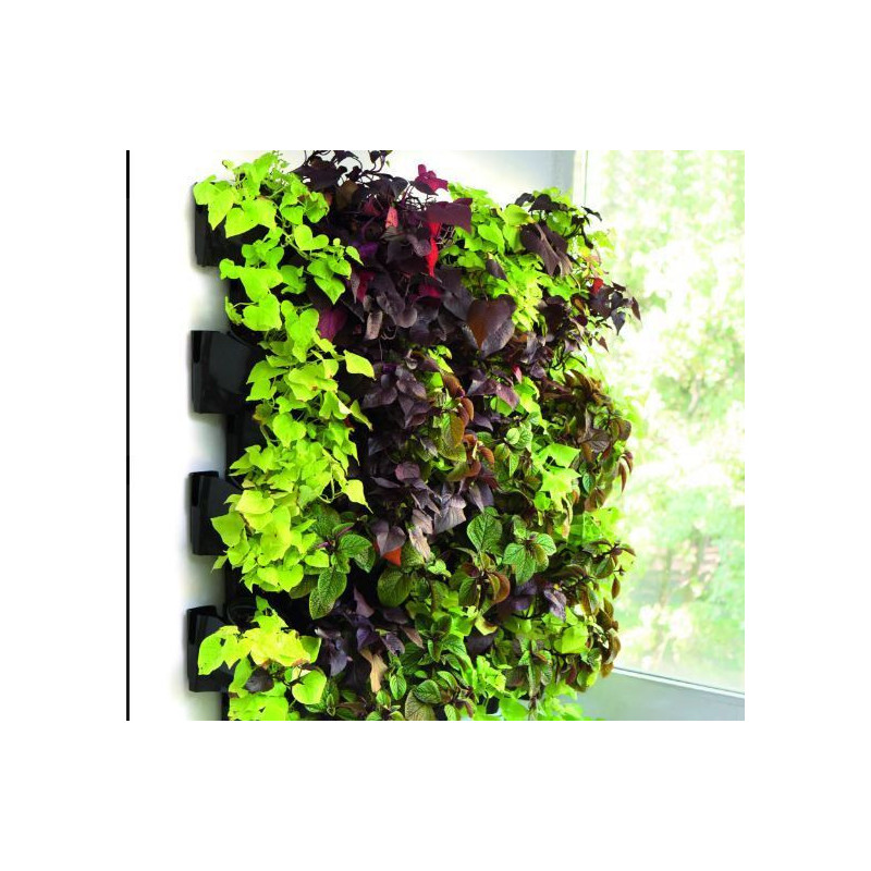 Aquael Versa Garden Hydroponic Plus Kit