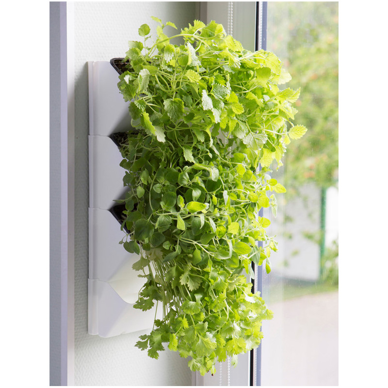 Aquael Versa Garden Herbs