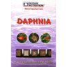 Daphnia blister 100g - Ocean Nutrition