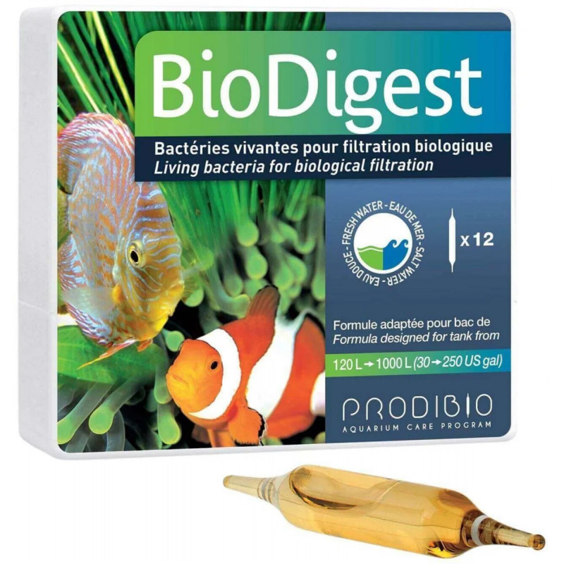 BioDigest 12 ampolas - Prodibio