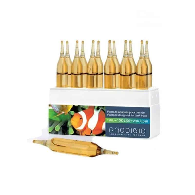 BioDigest 12 ampoules - Prodibio