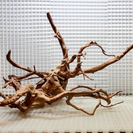 Red Moor Wood - Decoração Tronco Madeira - A02