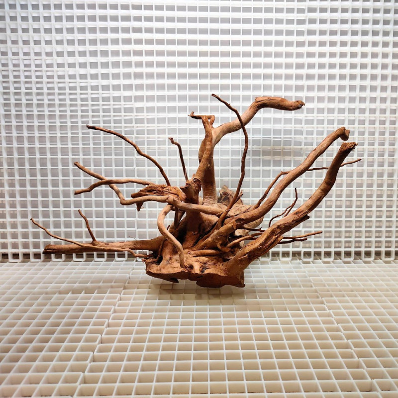 Red Moor Wood - Decoração Tronco Madeira - A04