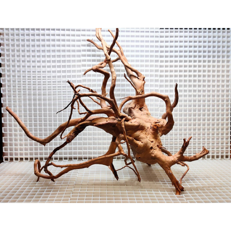 Red Moor Wood - Decoração Tronco Madeira A06 Red Moor Wood - Decoração Tronco Madeira A06