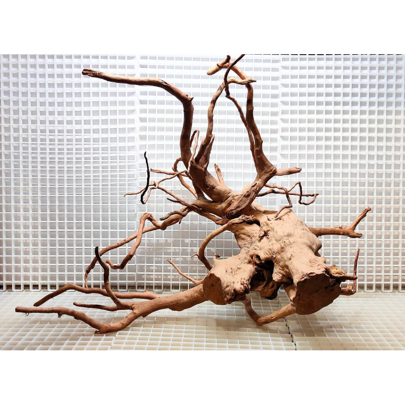 Red Moor Wood - Decoração Tronco Madeira A06