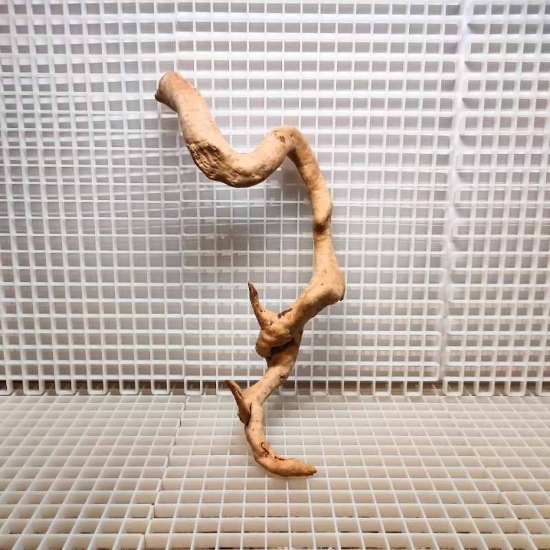 Red Moor Wood - Decoração Tronco Madeira A07