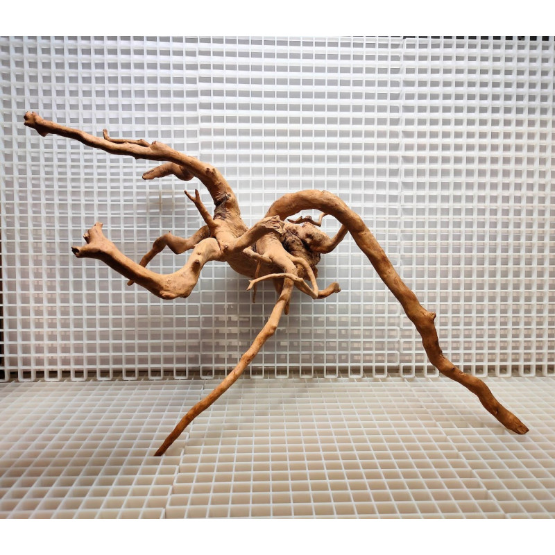 Red Moor Wood - Decoração Tronco Madeira A08