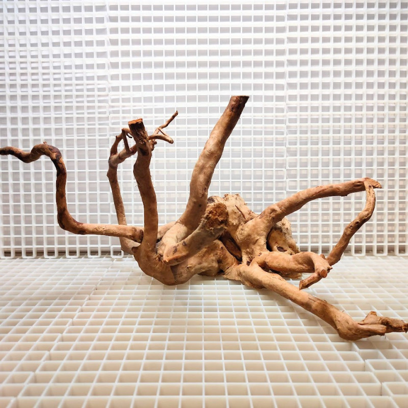 Red Moor Wood - Decoração Tronco Madeira A09 Red Moor Wood - Decoração Tronco Madeira A09