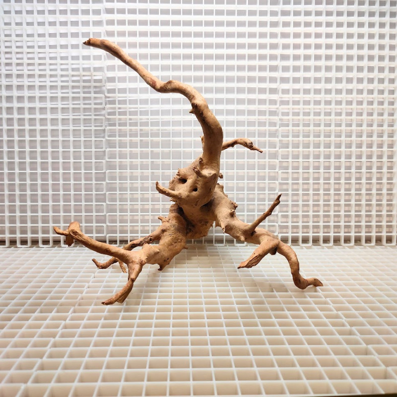 Red Moor Wood - Decoração Tronco Madeira A10