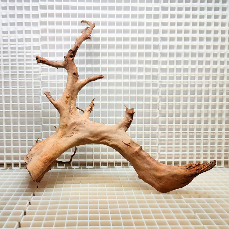 Red Moor Wood - Decoração Tronco Madeira A12