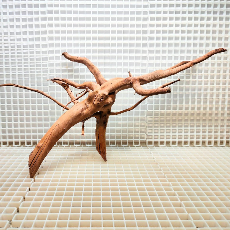 Red Moor Wood - Decoração Tronco Madeira A13