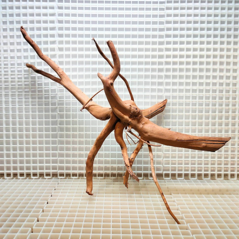 Red Moor Wood - Decoração Tronco Madeira A13