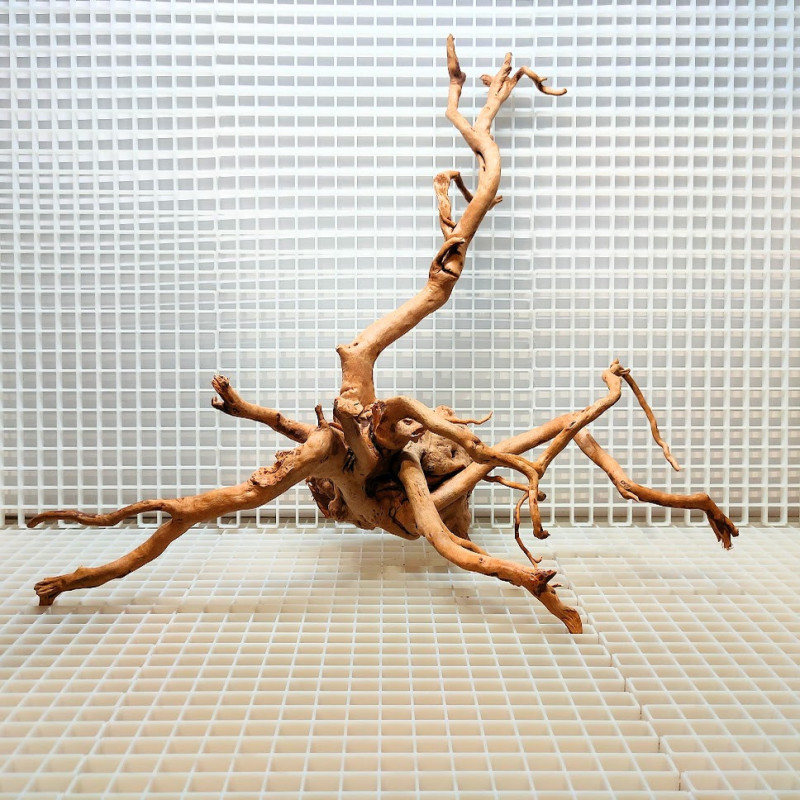 Red Moor Wood - Decoração Tronco Madeira A15