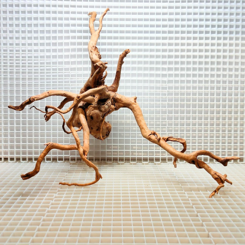 Red Moor Wood - Decoração Tronco Madeira A15