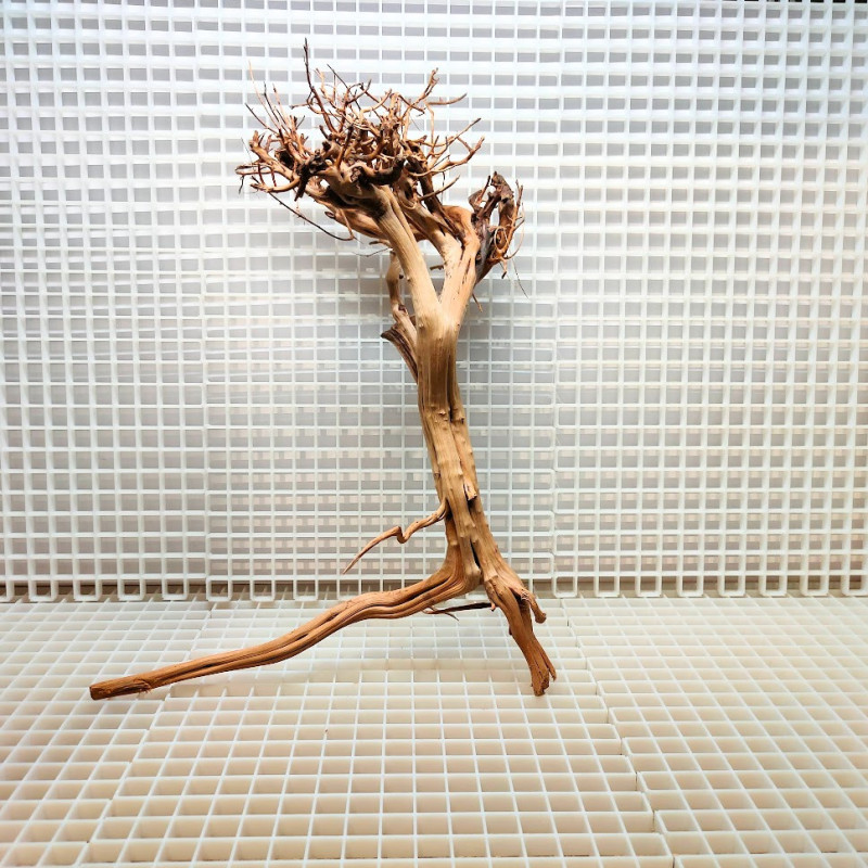 Madeira Bonsai Peça Nº30