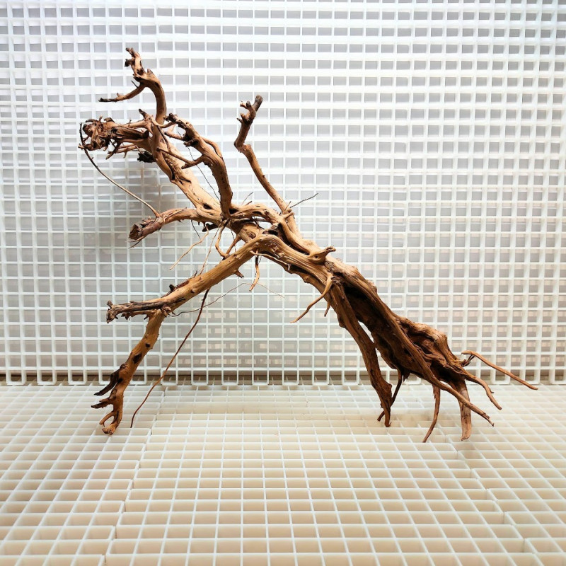 Madeira Bonsai Peça Nº3